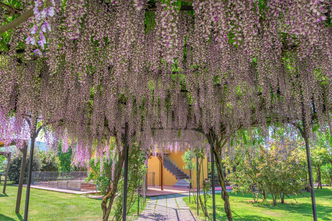 Antico Casale Guest House Sarzana Luaran gambar